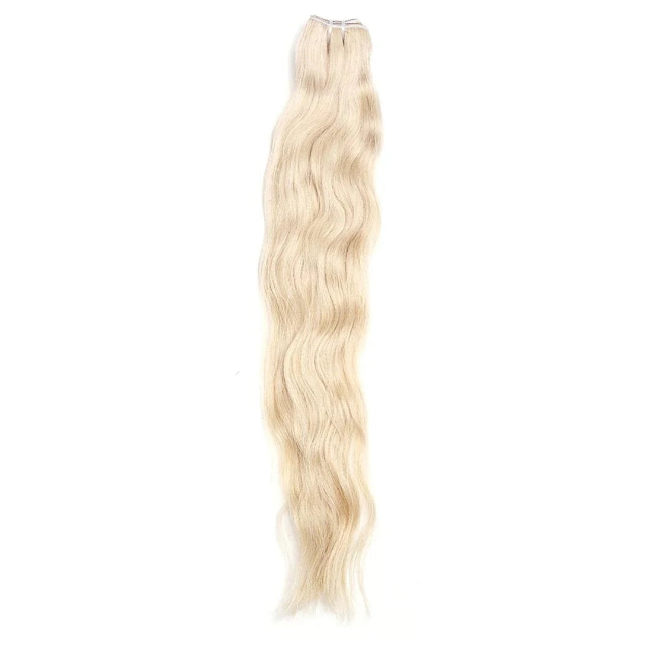 Blondie Bundles